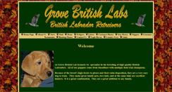 Desktop Screenshot of grovebritishlabs.com